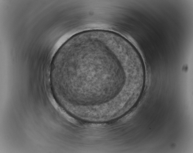 X0000114191389200911200926