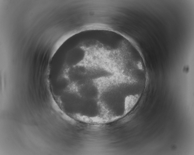 X0000114191390200911200926