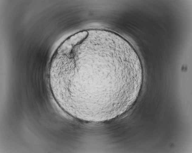 X0000114191392200911200926