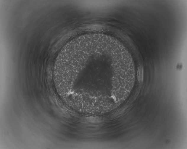 X0000114191395200911200925