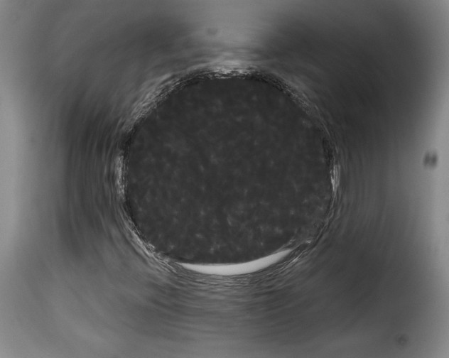 X0000114191396200911200925