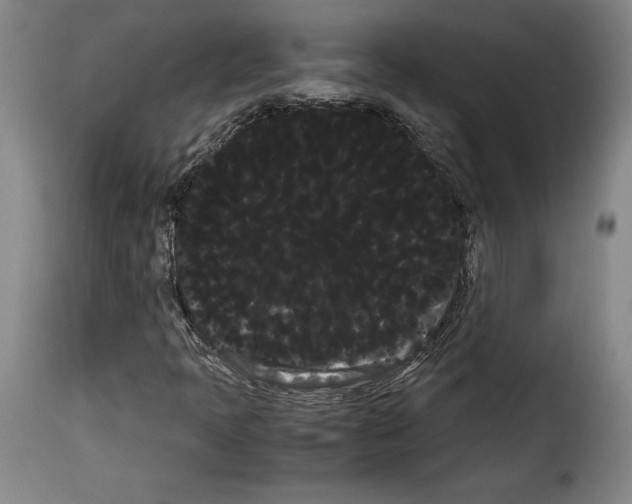 X0000114191397200911200925