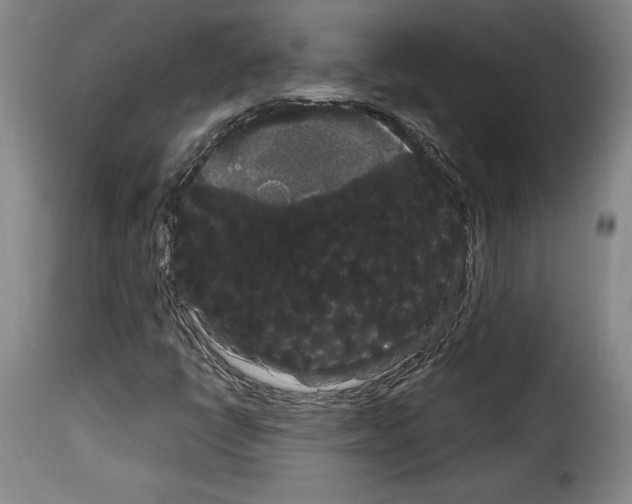 X0000114191398200911200925