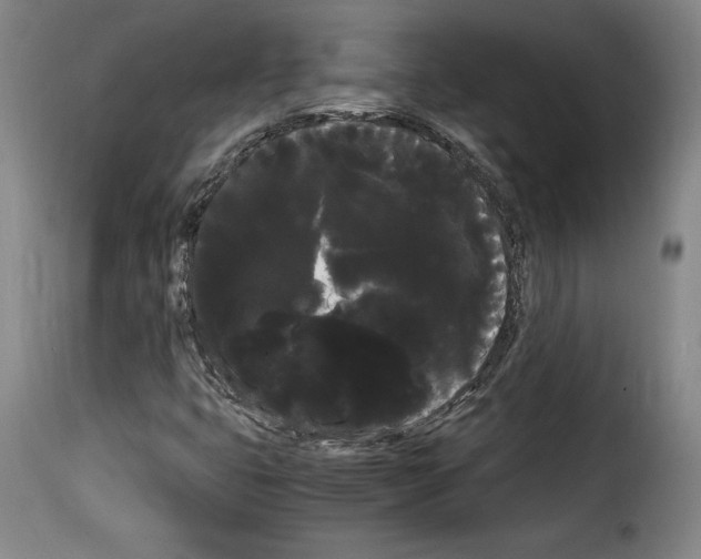 X0000114191399200911200925