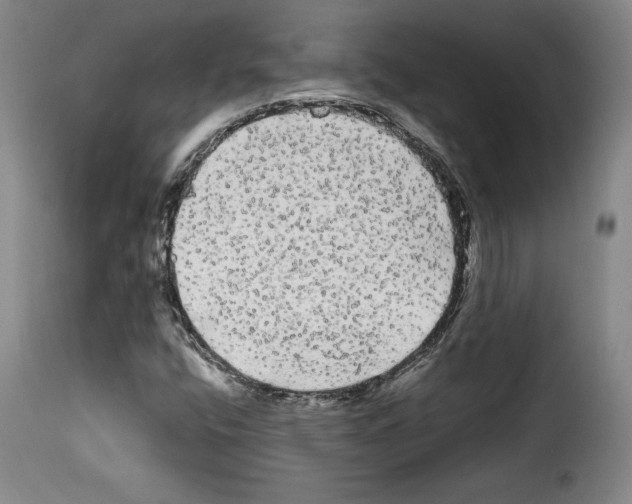 X0000114191400200911200925