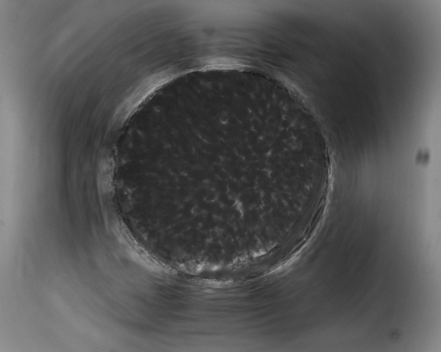 X0000114191401200911200925