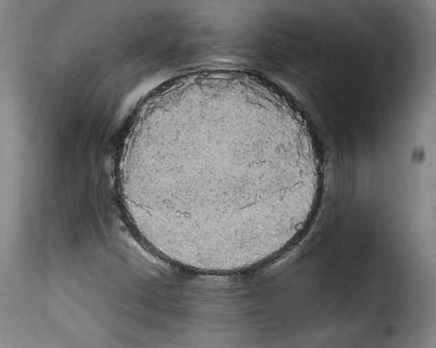 X0000114191402200911200926