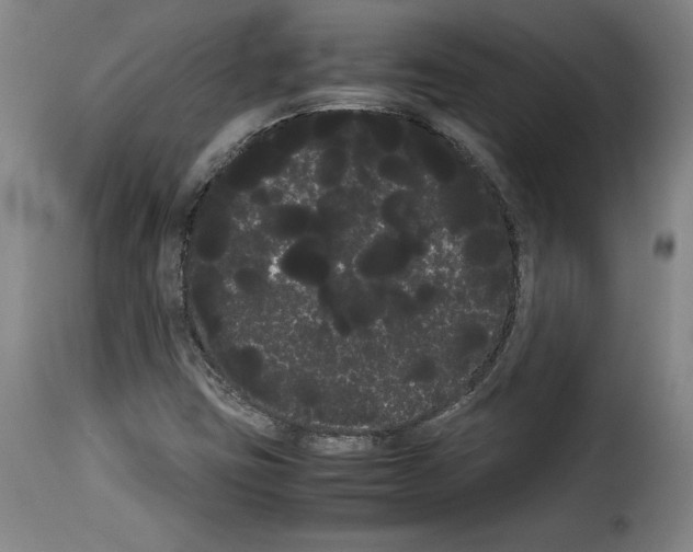 X0000114191403200911200926