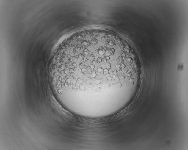 X0000114191404200911200926