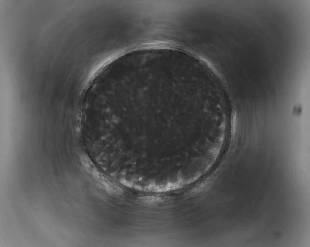 X0000114191405200911200926