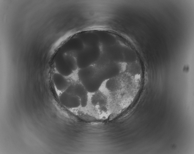 X0000114191406200911200926