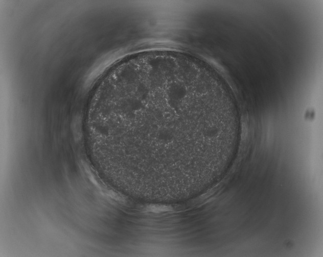 X0000114191407200911200926