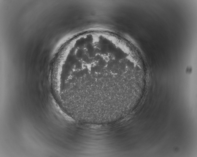 X0000114191408200911200926