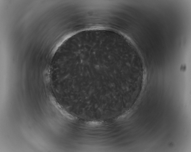 X0000114191409200911200926