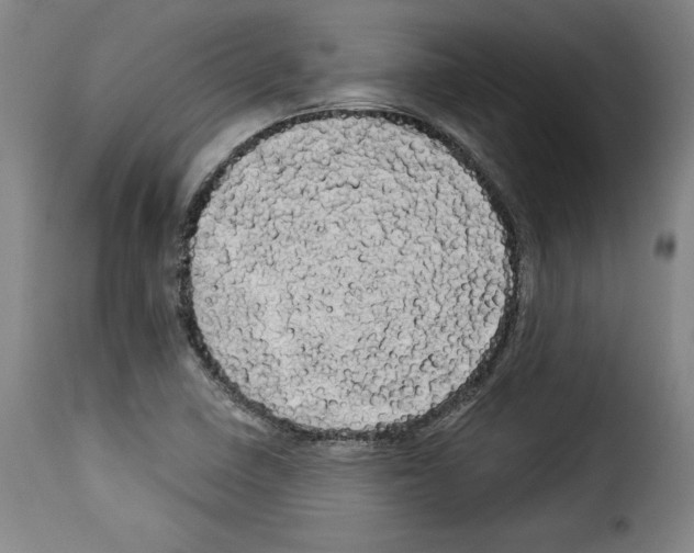 X0000114191410200911200926