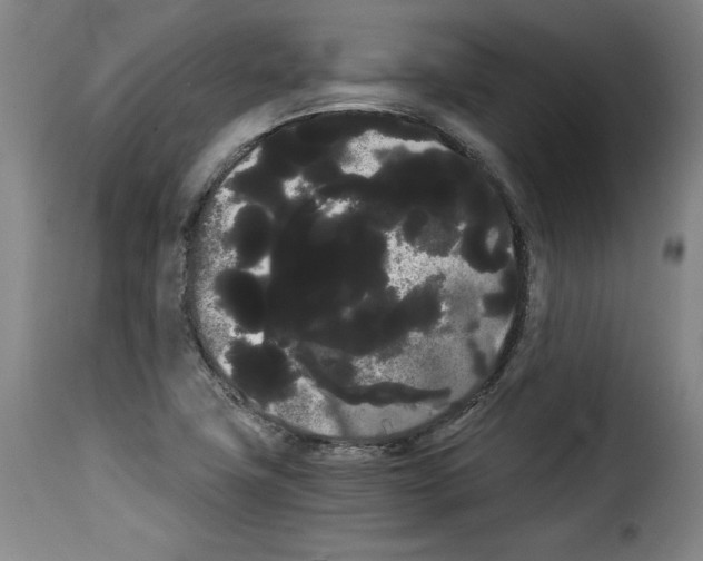 X0000114191411200911200926