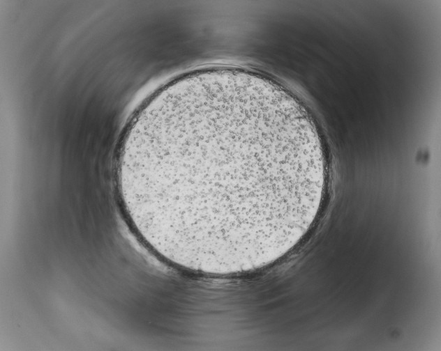 X0000114191412200911200926