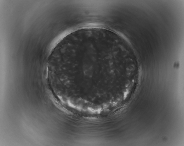 X0000114191413200911200926