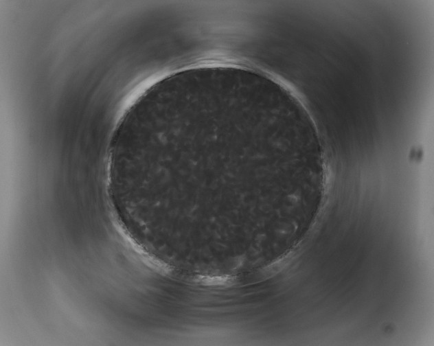 X0000114191415200911200926