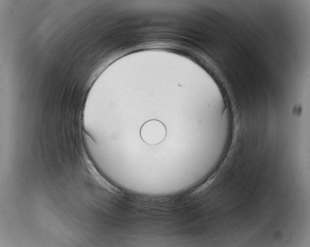 X0000114191417200911200926