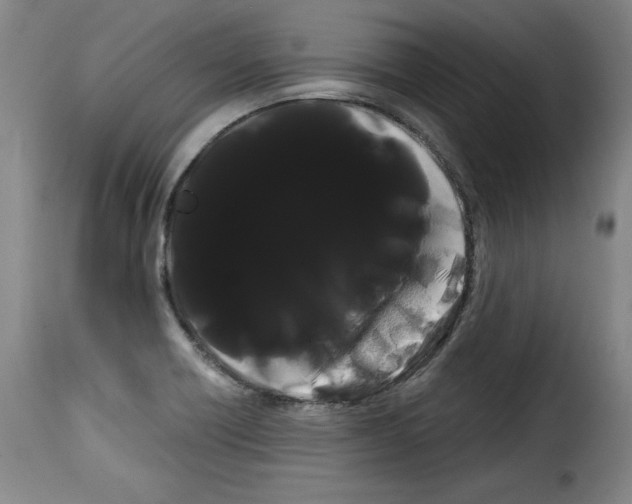 X0000114191418200911200926