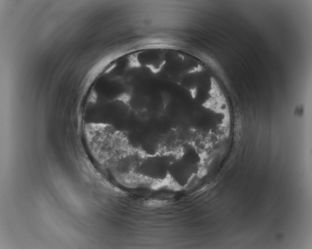 X0000114191419200911200926