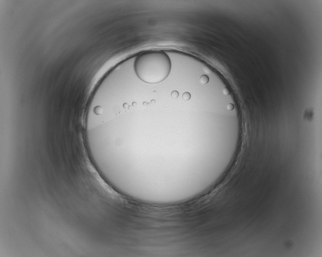 X0000114191420200911200926