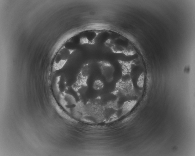 X0000114191421200911200926