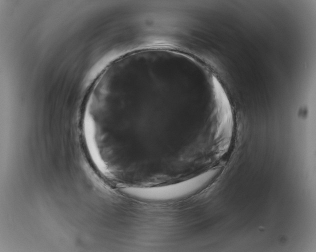 X0000114191422200911200926