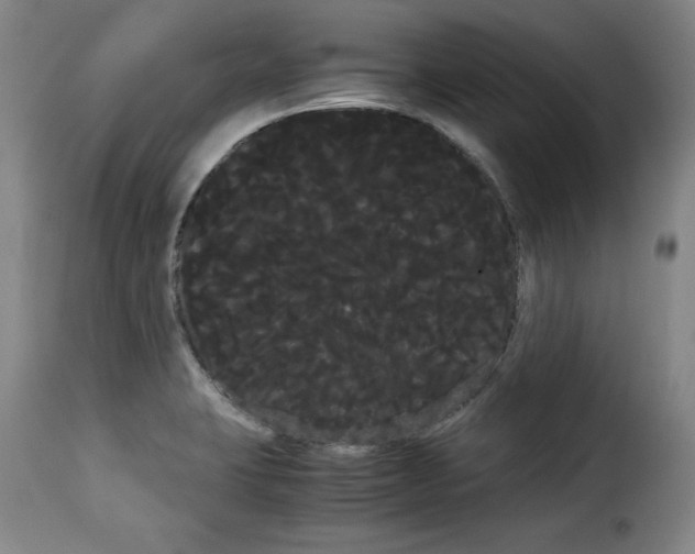 X0000114191423200911200926