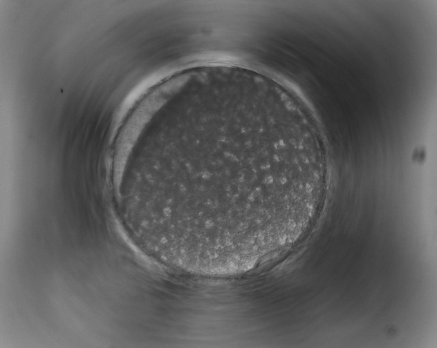 X0000114191424200911200926