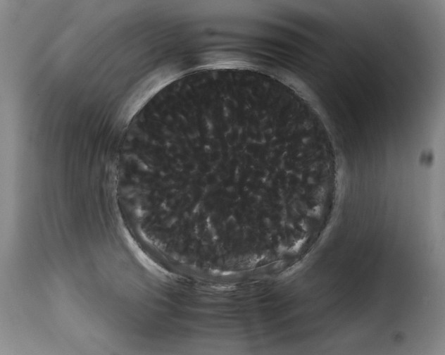 X0000114191425200911200926