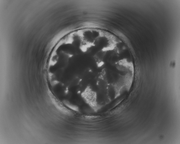 X0000114191427200911200926