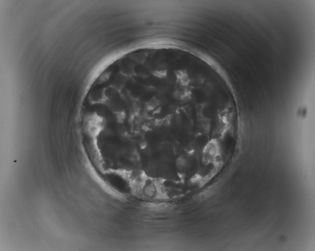 X0000114191429200911200926