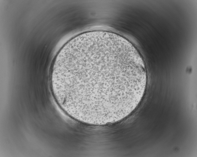 X0000114191430200911200926