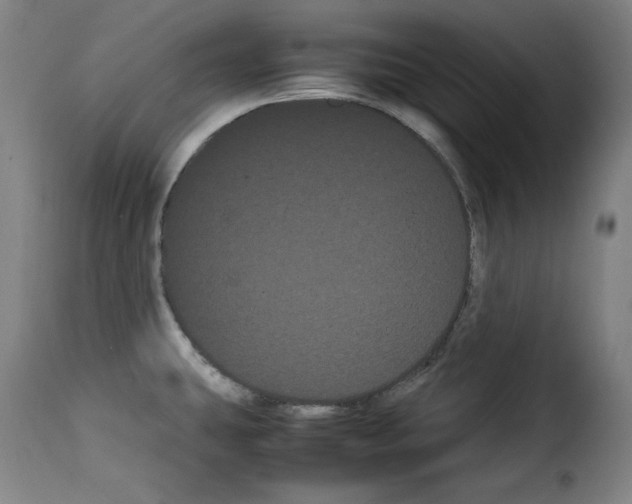 X0000114191431200911200926