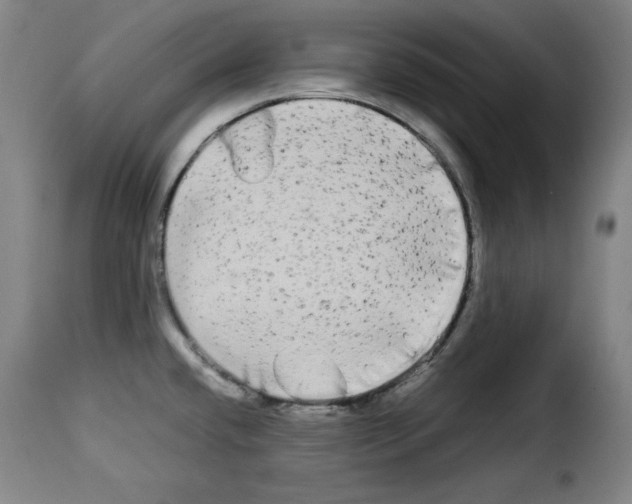 X0000114191432200911200926