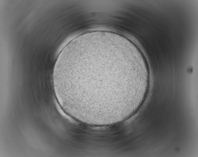 X0000114191433200911200926