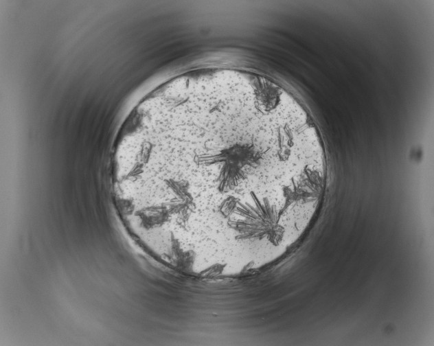 X0000114191434200911200926