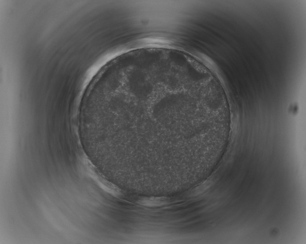 X0000114191435200911200926