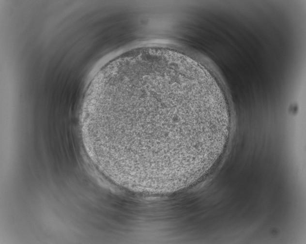 X0000114191436200911200926