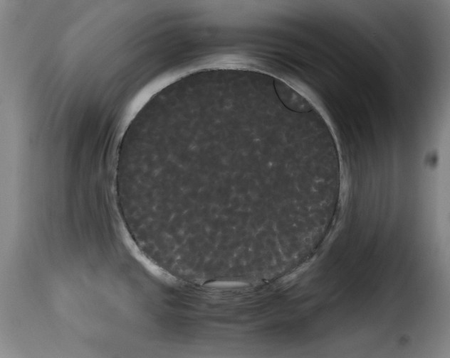 X0000114191437200911200926