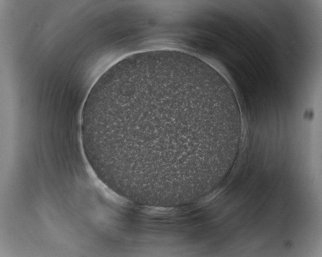 X0000114191439200911200926