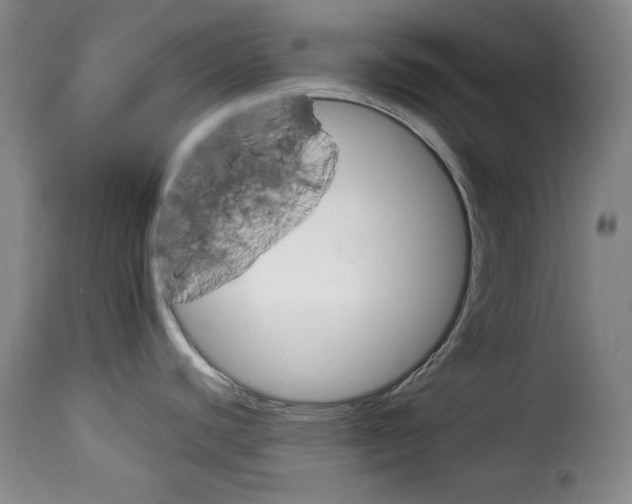 X0000114191440200911200926