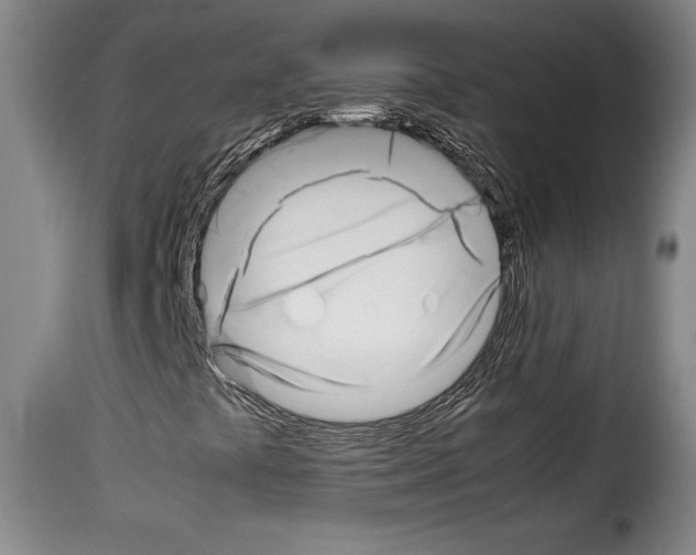 X0000114191441200911200925