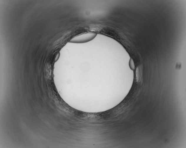 X0000114191443200911200925