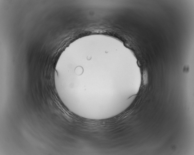 X0000114191444200911200925