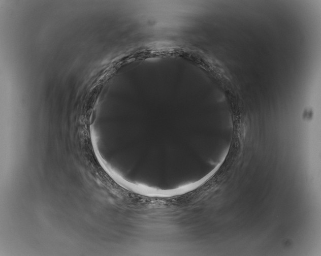 X0000114191445200911200925