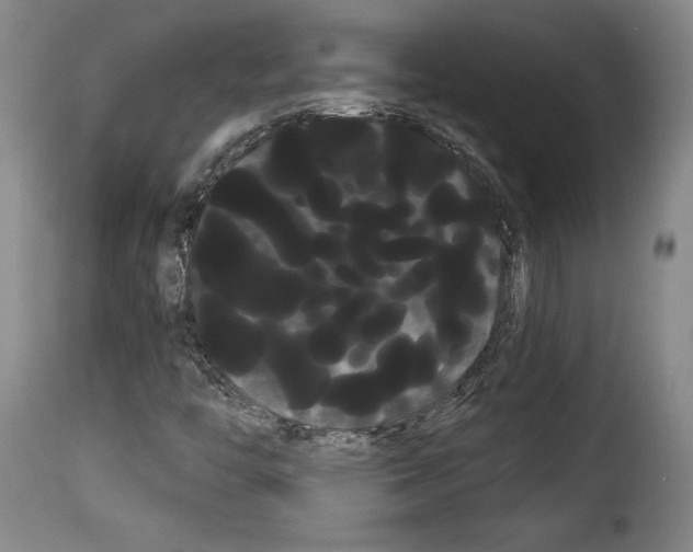 X0000114191446200911200925