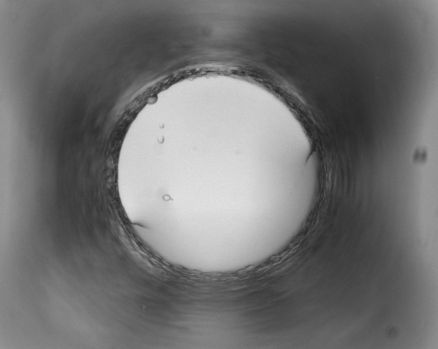 X0000114191448200911200925